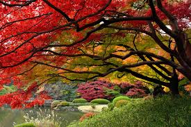 日本多景  World Travel 世界旅遊