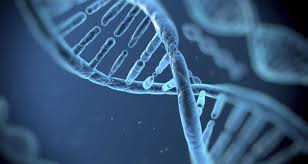 Image result for DNA on the cloud