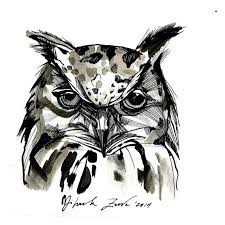 Résultat de recherche d'images pour "owl ink drawing"