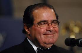 Image result for scalia