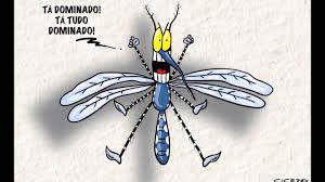 Resultado de imagem para dengue chikungunya e zika vírus