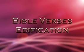 Top-8-Bible-Verses-About-Edification.jpg via Relatably.com