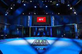 Aljamain Sterling's Bold Claims After UFC Fight Night: Sterling vs Zalal
