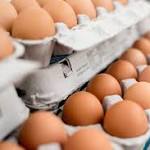  Massive egg recall sickens a dozen more people in five states