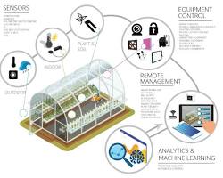 Image of Automated greenhouse