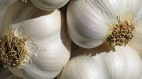 STO limits garlic sales to one kilogram per person