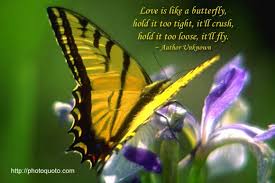 Butterfly Quotes Love | Quotes about Love via Relatably.com