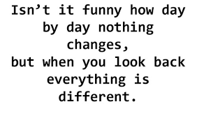 Change Management Funny Quotes. QuotesGram via Relatably.com