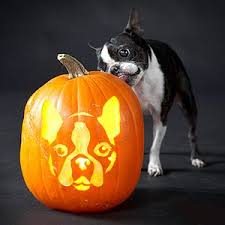 Image result for dog Pumpkin Carving