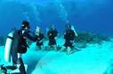 Diver Training, The Underwater Centre Fort William and Tasmania