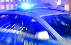 Badische Zeitung - News update