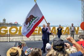 steve hilton Picture