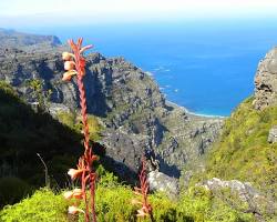 hiking trails at the Twelve Apostles