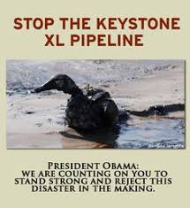 Americans Urge Leaders: STOP the Keystone XL Pipeline on Pinterest ... via Relatably.com