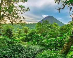 Image of Costa Rica's rainforests