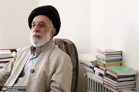 سید هادی خامنه ای