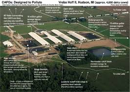 Image result for cafo