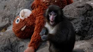 News source: USA Today