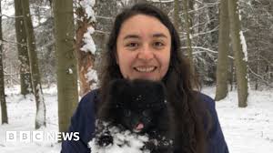 BBC - News update