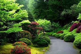Resultado de imagem para jardins japoneses sakura