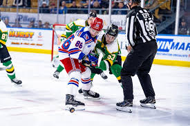 CityNews Kitchener - News update