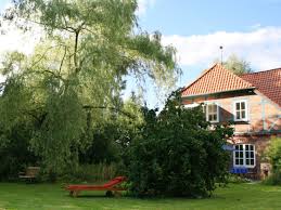 Ferienwohnung Bei Schmidts, Lüneburger Heide - Frau Margret Köster- - Gartenansicht