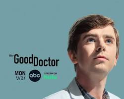 Good Doctor TV Show