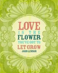 GARDENING QUOTES on Pinterest | Garden Quotes, Gardening and ... via Relatably.com