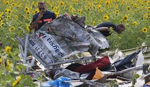 Image result for mh17 wings