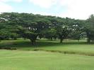 Hilo golf course