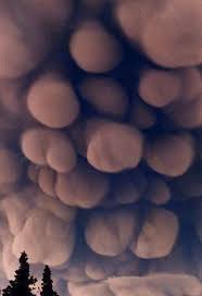 Image result for Mammatus cloud