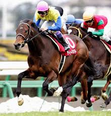 シーザアリバイ