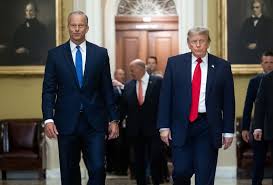 ‘We are knifing each other’: Trump’s showdown with Senate GOP leader splinters unity ahead of midterms