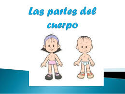 Resultado de imagen para mi cuerpo niños