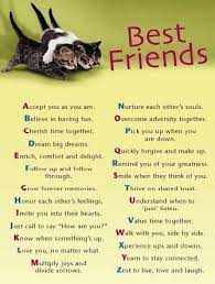 Quotes About Life: happy birthday quotes for a friend via Relatably.com