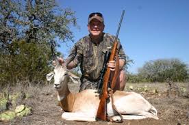 Résultat de recherche d'images pour "dama gazelles"