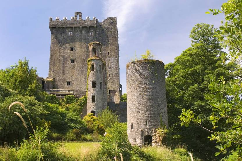 Roofers in Tower, Ireland