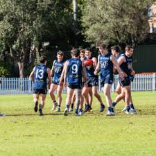 AFL Sydney - News update