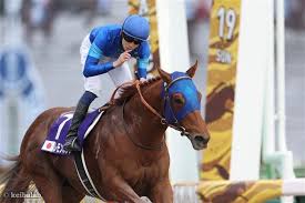 【フェブラリーS】勝率80％を誇る鉄板級の軸馬候補が浮上！