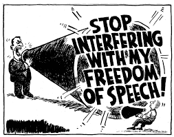 Image result for Images of Free speech