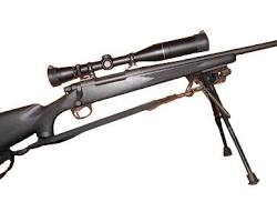 Image of Remington 700 rifle