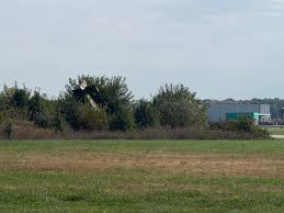 Small plane crashes into trees while landing at Union County Airport