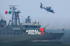 Animal Politico - News update