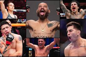 ultimate fighting championship