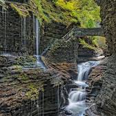 Watkins Glen