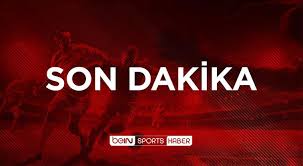dikilitaş projesi