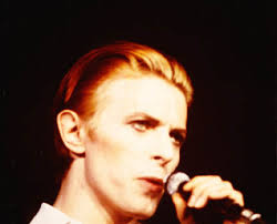 Image result for thin white duke
