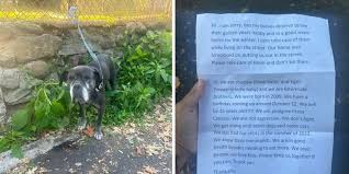 Rescuer's Heart Breaks Reading The Note Left With Two Old Dogs Tied To Fence