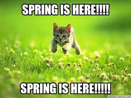 Image result for spring is here
