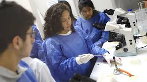 ¡Atención, Médicos! Resultados del SERUMS 2025-II a la Vista: ¡No te lo Pierdas!